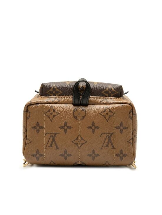 Louis Vuitton Monogram Reverse Palm Springs Backpack Mini Brown Black Leather main image 5